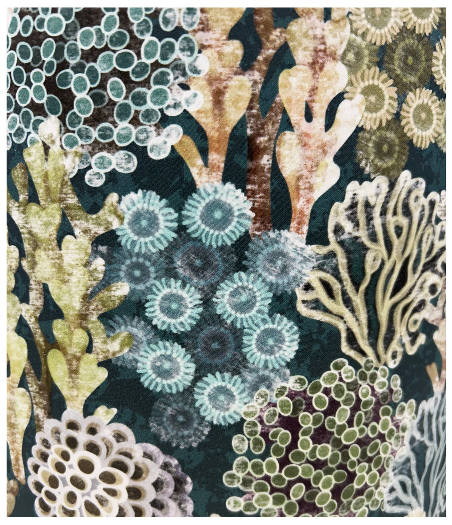 REEF Lampshade