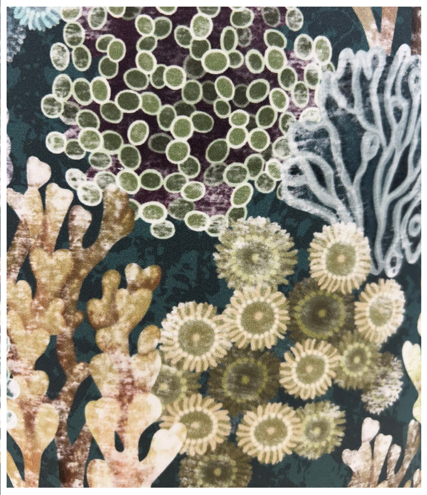 REEF Lampshade