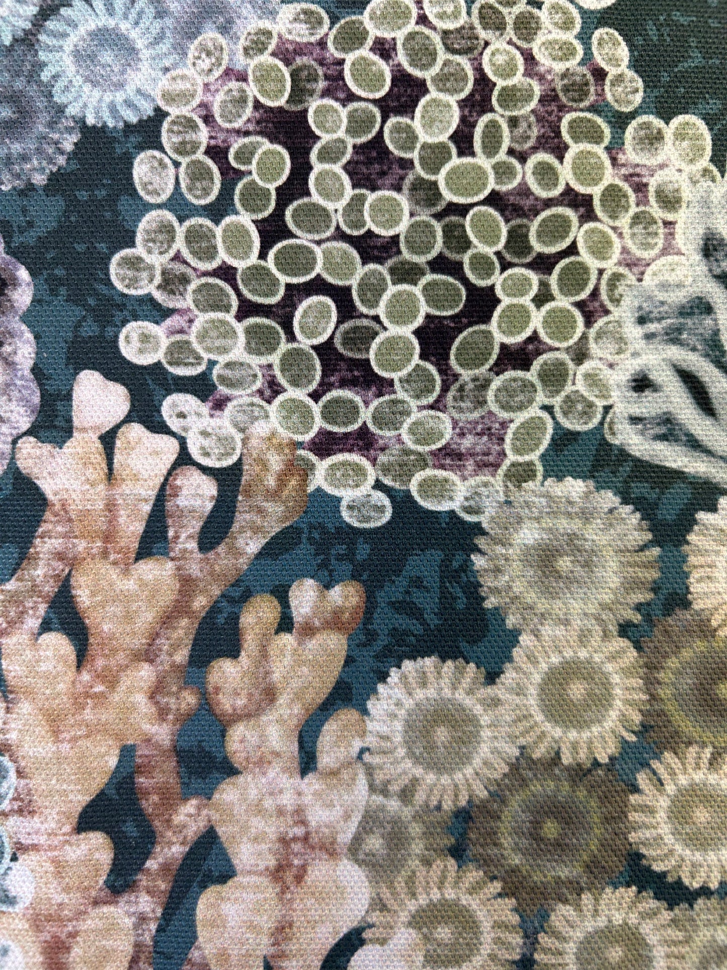 REEF Cotton tea towel