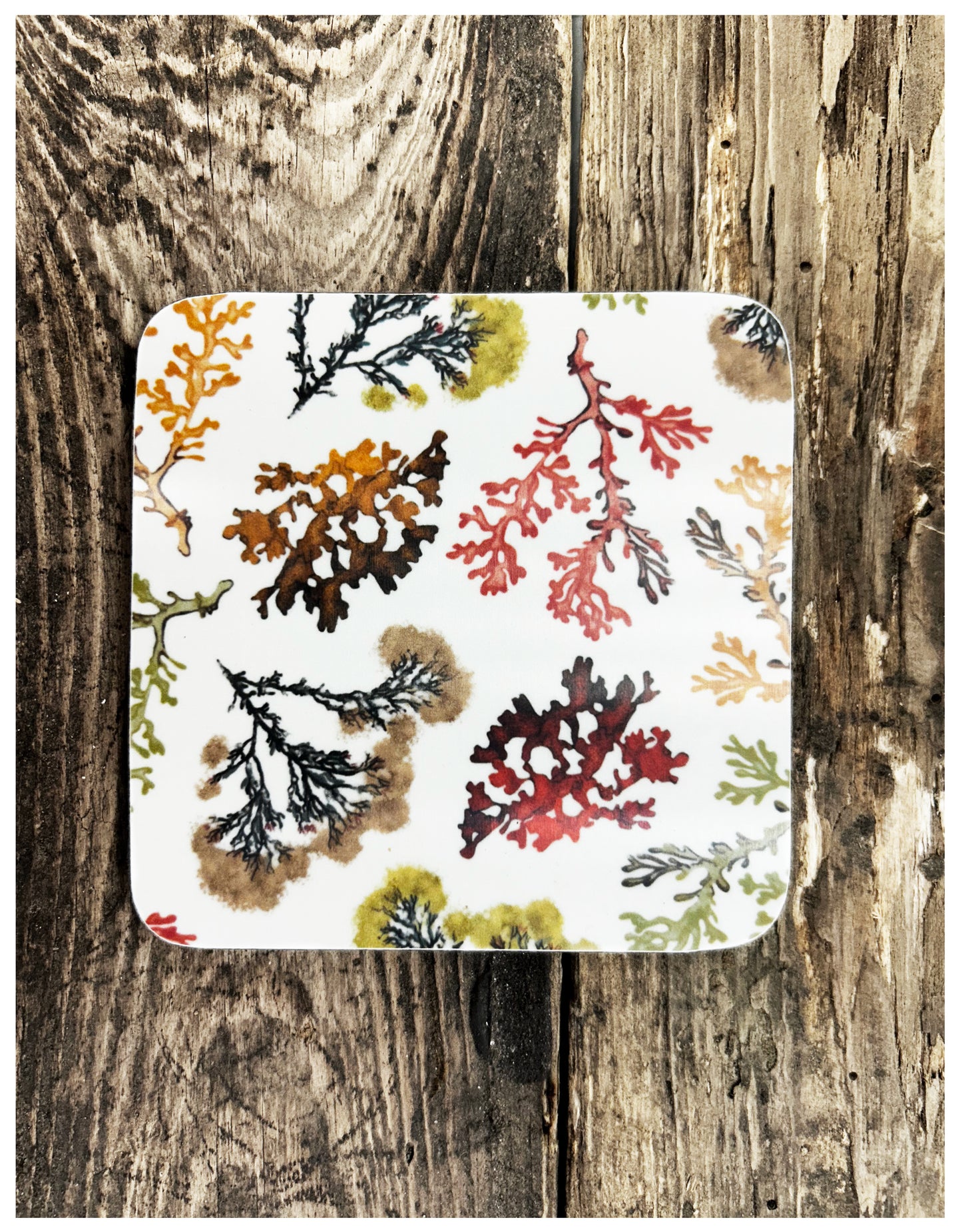 ROCKPOOL Set of 4 square coasters