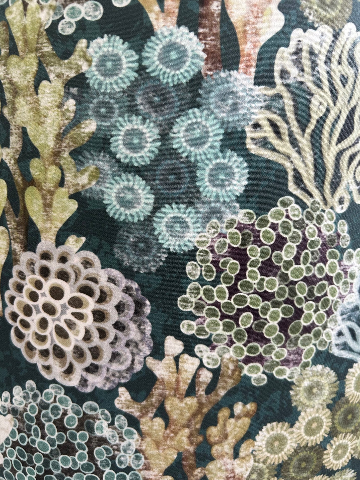 REEF Lampshade