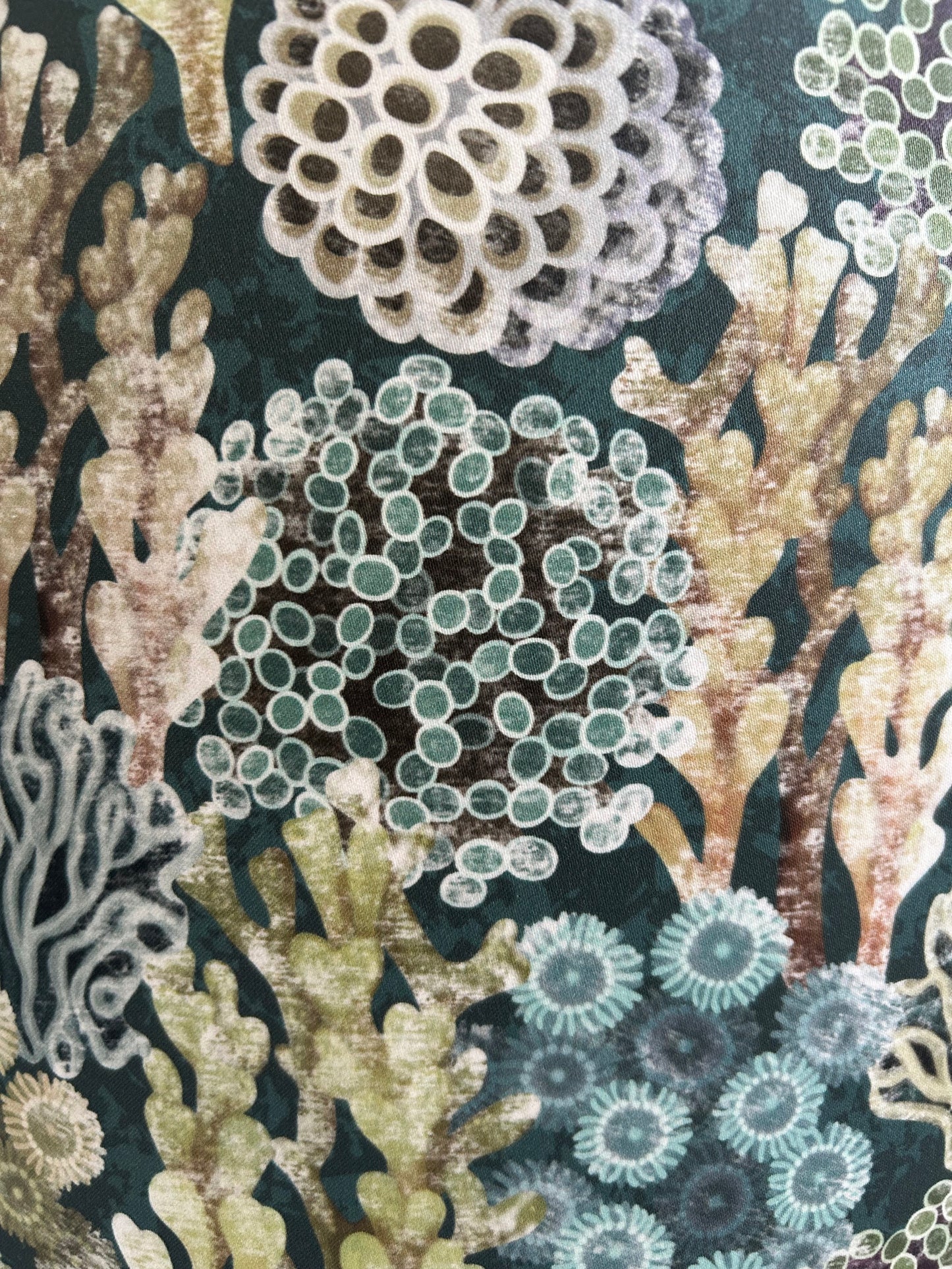 REEF Lampshade