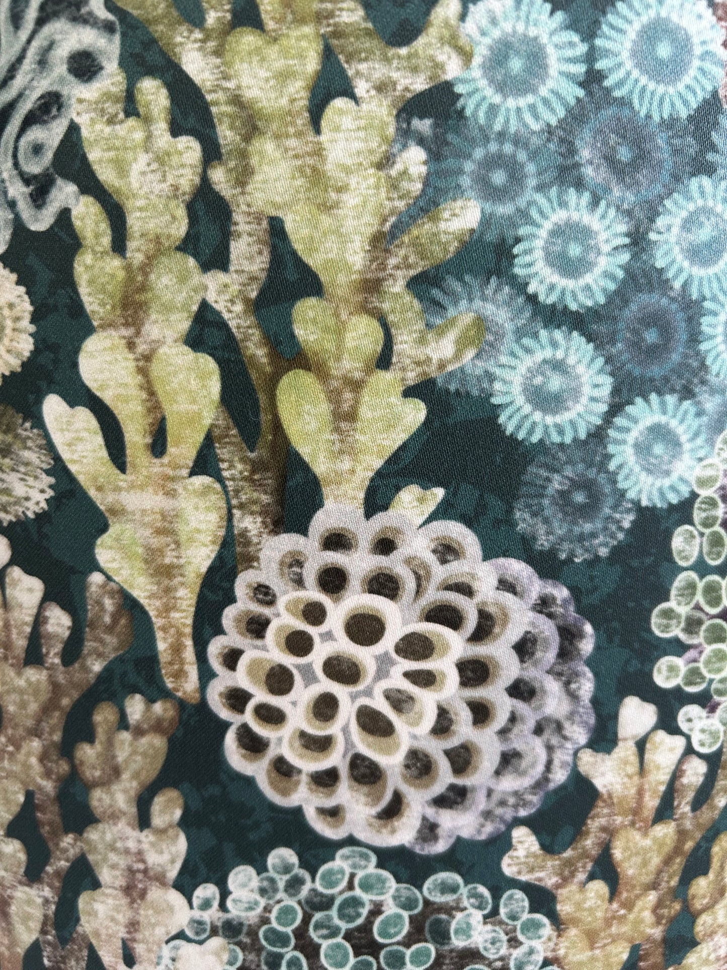 REEF Lampshade
