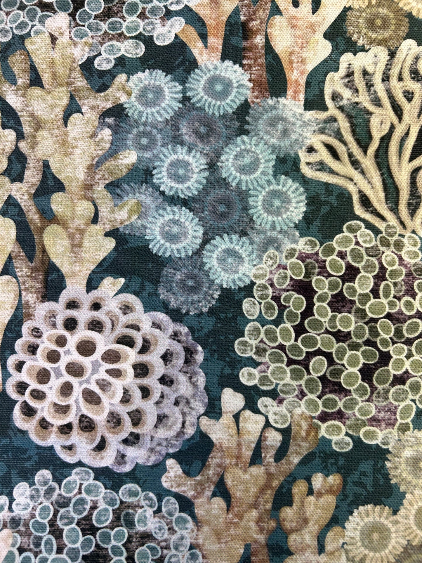 REEF Cotton tea towel